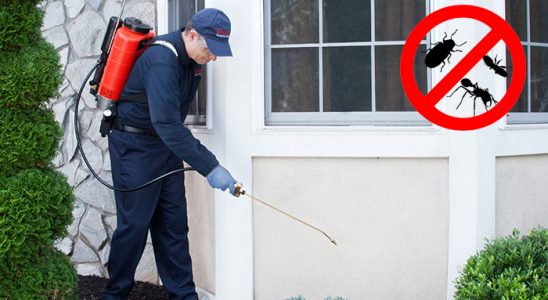 Evka 1 Dezenfeksiyon böcek ilaçlama ve haşere kontrolü — ilaclama-tr.com